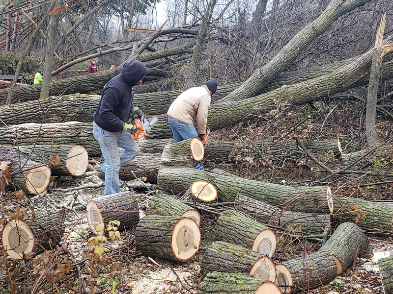 /pictures/Trail Clean Up 2018/20181104_074217.jpg